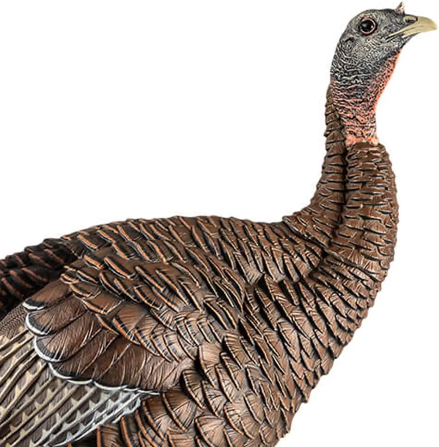 Hen Turkey Decoy | Durable Realistic Lifelike Standing Hunting Decoy with 2 Removable Heads, Carry Bag & Integrated