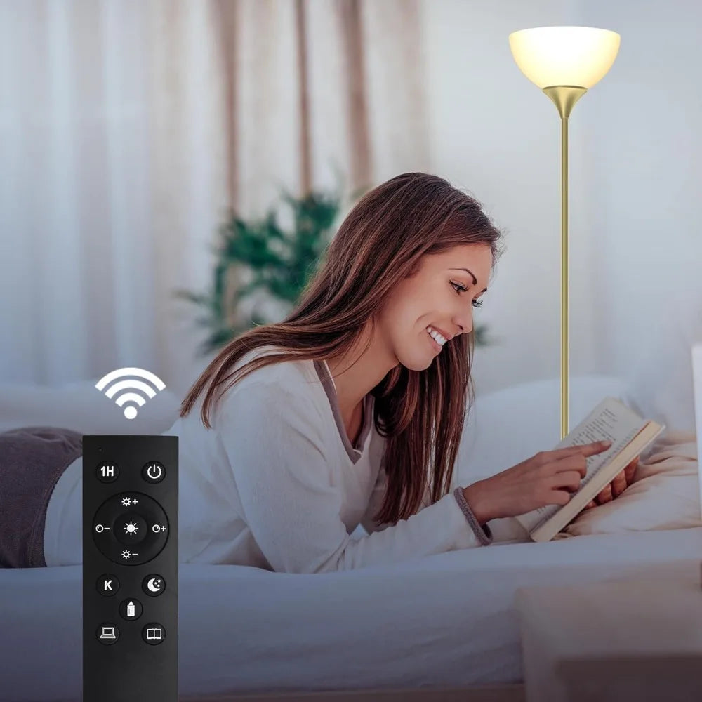 Floor Lamp, Colorless Mild Brightness Remote Control